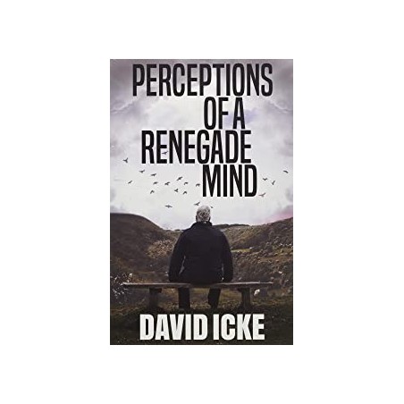 Perceptions Of A Renegade Mind